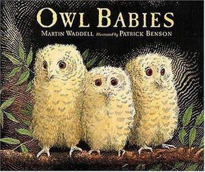 Cover of “Owl Babies” by Martin Waddell